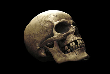 Human skull with an open lower jaw on a Black isolated background. The concept of death, immortality, eternal life, horror. Acult symbol. Spooky Halloween symbol. 3D render