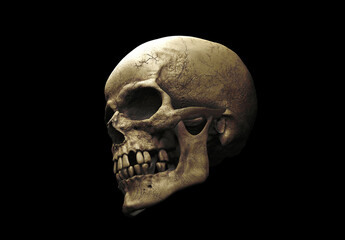 Human skull with an open lower jaw on a Black isolated background. The concept of death, immortality, eternal life, horror. Acult symbol. Spooky Halloween symbol. 3D render