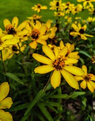 An adventure through mother nature 