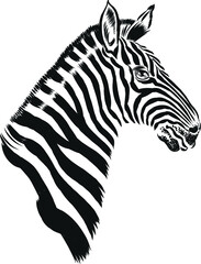 Fototapeta na wymiar Zebra animal head. Ink black and white vector drawing