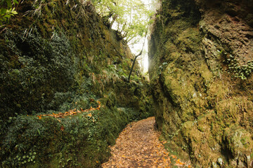 Madeira levada background. Madeira island landscape. Beautiful holiday view. Trekking among irrigation system. Walking path in mountains. Scenic valley of Portugal.