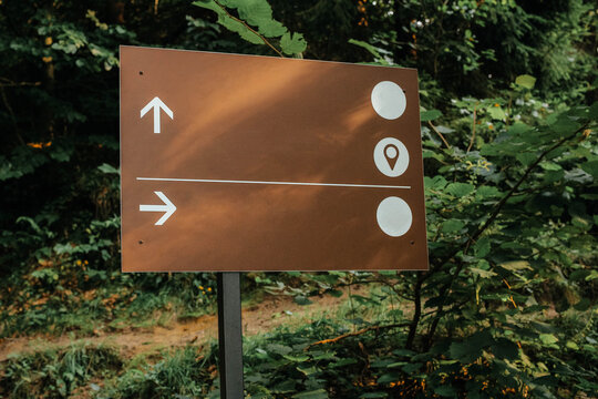 Broen track pointer in the deep forest. The abstract concept for different choice, decision, or the distinctive opinion.