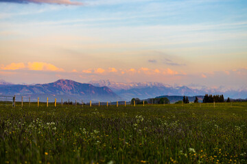 Fototapeta na wymiar Alpen Landschaft im Sommer