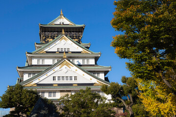 Fototapeta premium 大阪城