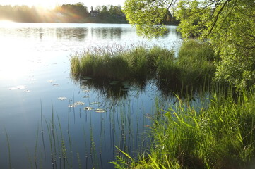 summer by the lake
