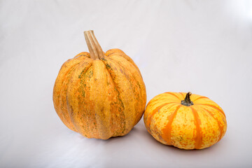 pumpkin on a white background