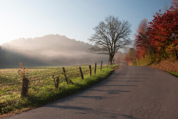 Obraz premium road in the autumn