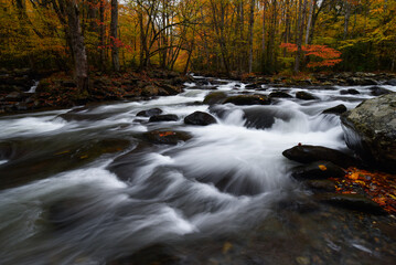 Mountain Stream in autumn