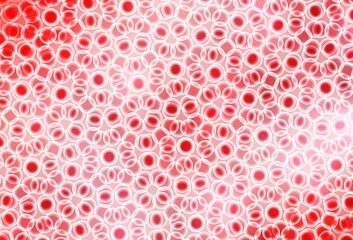 Light Red vector backdrop with dots.