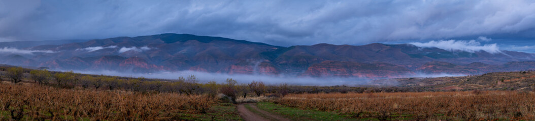 Panoramic view of vineyards in winter, almond trees, mountains and fog brushing the ground with a variety of intense colors.