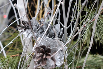 Christmas and New Year holiday themed photos of the fir tree with beautiful pine cones and blurry background, December festive season symbols in white, green and brown colors.