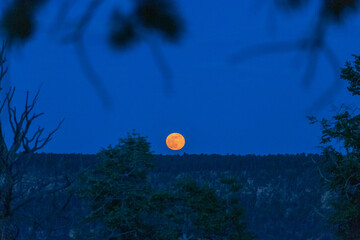 An orange full moon at dusk in the desert