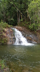 Obraz premium river in forest