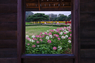 Fototapeta na wymiar Beautiful flowers in park in window view