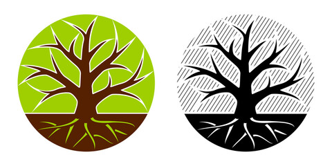 Tree emblem 24
