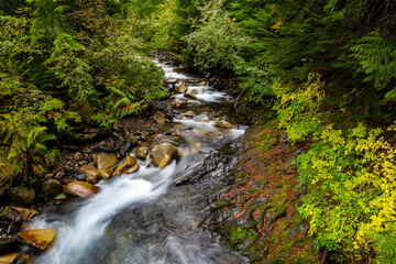 Kaslo River British Columbia Canada