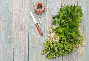 Aromatic, homeopathic herbs close-up © TETYANA