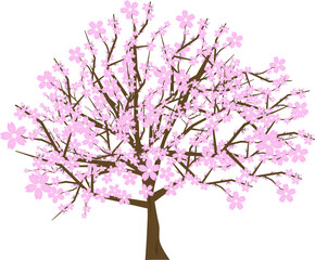 Naklejka premium 満開の綺麗で可愛い桜の木のイラスト