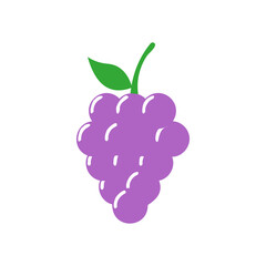 Grape icon design template vector isolated illustration