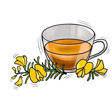 natural herbal honeybush tea