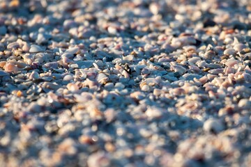close up of texture