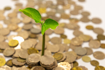a pile of coins with baby plant on top for business, saving, growth, economic concept. .