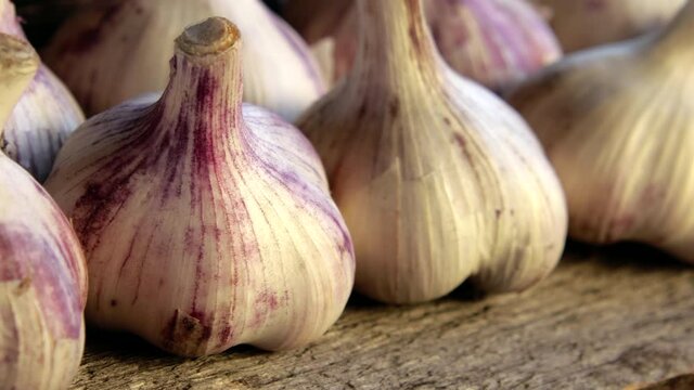 Gray and white cut garlic crop heads on a wooden surface. Dolly shot close up