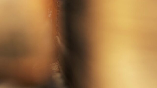 Cave entrance, fluid cinematic motion