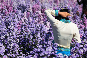 Beautiful woman in Beautiful morning flowers Margaret in the garden are blooming