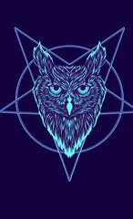 owl illustration