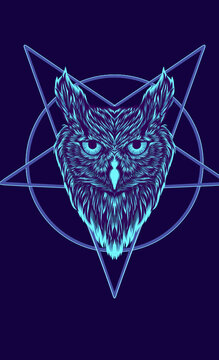 owl illustration