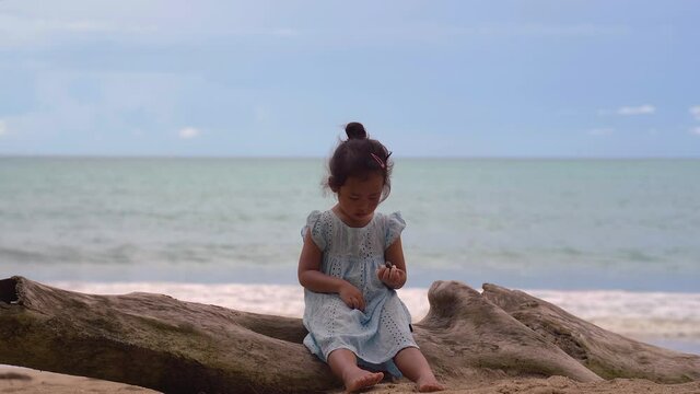 Cute little girl sitting on timber at sea shore.
