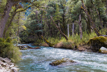 San Martin de los Andes