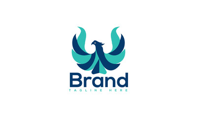 Bird logo design and vector template