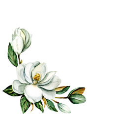 White flowers magnolia, watercolor floral clip art. Perfectly for printing design on invitation, card, wall art and other. Isolated on white background. Hand painting.