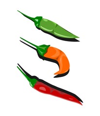 3 vector version of small chilies with different colors to indicate the level of ripe