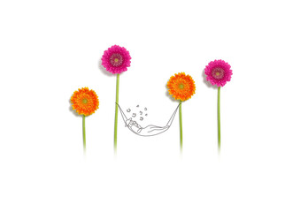 花畑でハンモックでお昼寝