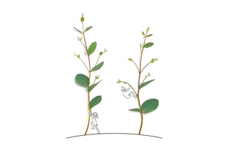 木登りをする子供たち