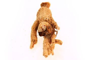 Ginseng on a white background