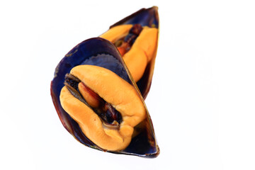 Mussels on a white background