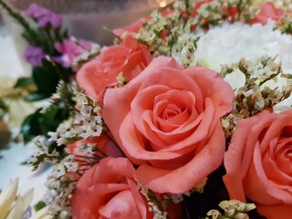 orange rose