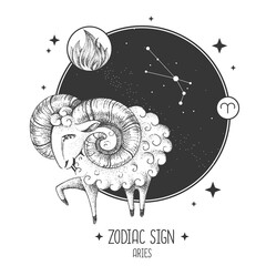 Modern magic witchcraft card with astrology Aries zodiac sign. Realistic hand drawing ram or mouflon. Zodiac characteristic