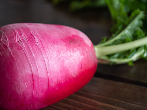 紫大根 Images Browse 56 Stock Photos Vectors And Video Adobe Stock