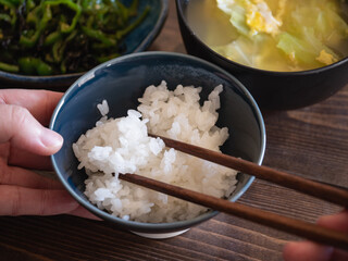 炊き立てのご飯が美味しい和食。