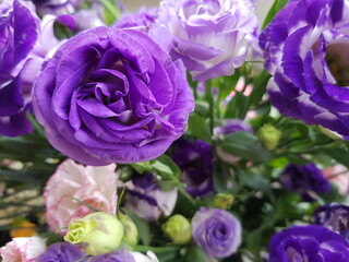 purple rose