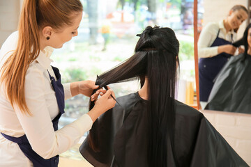 Female hairdresser working with client in salon