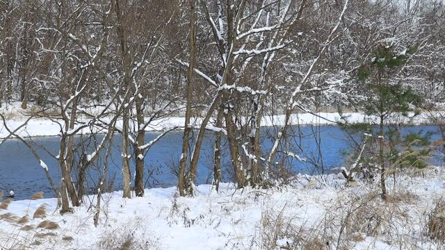 冬　川の流れ　雪景色　青空