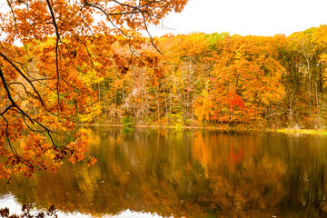 Fall colors and reflections in Birge Pond in Bristol, Connecticut.