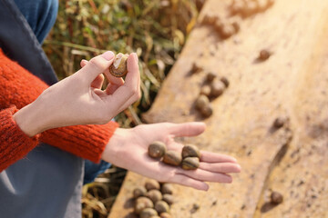 Worker taking care of snails at the farm