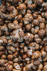 Many snails as background, top view © Pixel-Shot